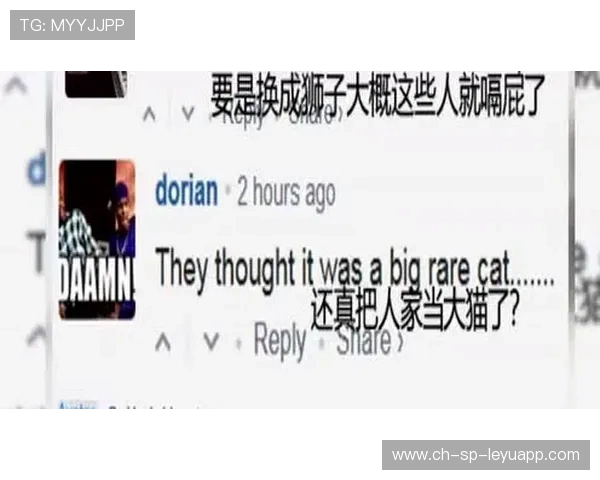 吉村真晴回台反抽命中边线 吉村真晴回台反抽命中边线